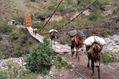 caminos del inca