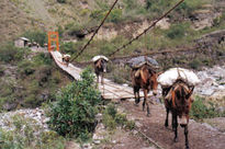 Caminos del inca