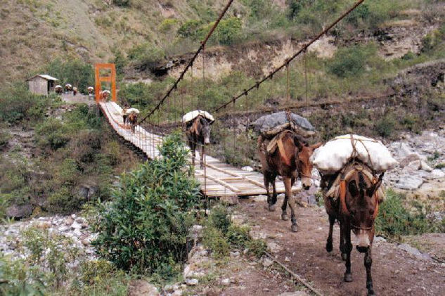 caminos del inca Travel Color (Manual)