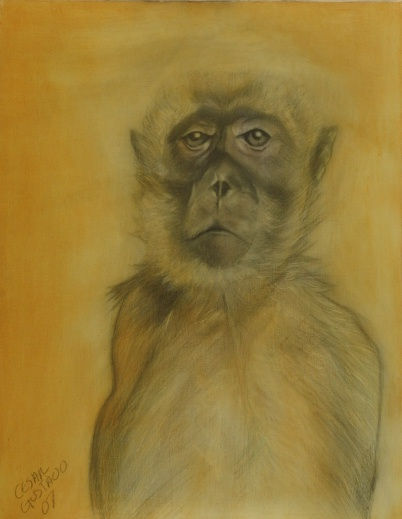 Mono VII