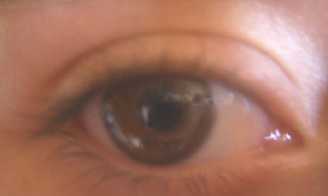 ojos