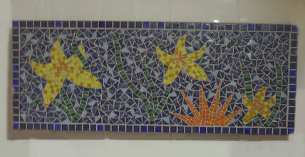Estrellas de mar