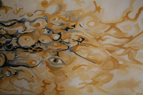 Olhares II