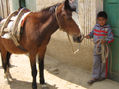 niño trabajo