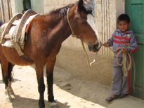 Niño trabajo