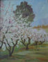 PAISAJE FLORIDO