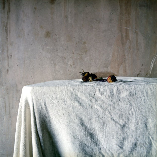 Después de deshielo, 2010