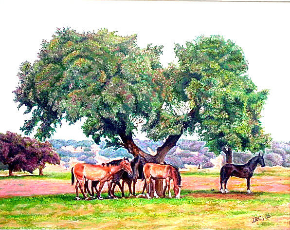 caballos en descanso Oil Canvas Animals