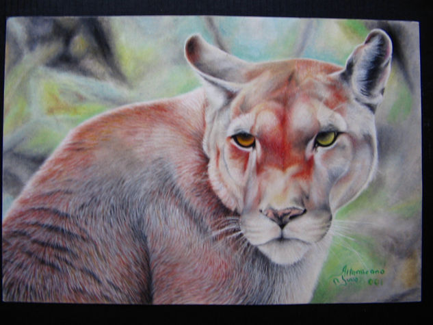 Puma Solitario Óleo Lienzo Paisaje