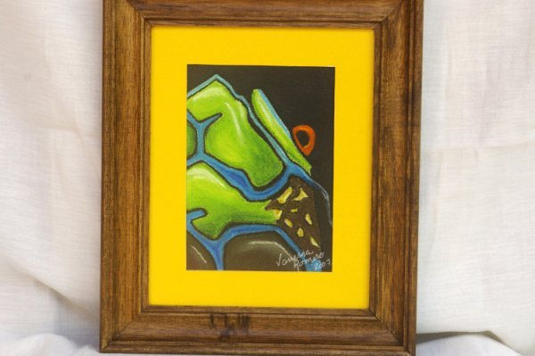 OBRA4