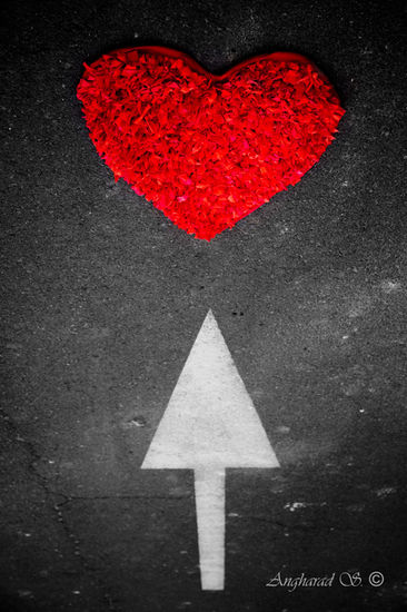 el camino a mi amor Conceptual/Abstract Color (Digital)