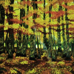 Paisajes thumbnail 1