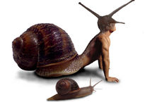 Caracol