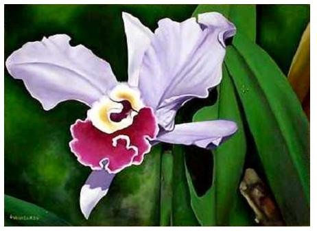 Orquídea Tropical Oil Canvas Floral Painting