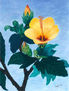 Flor China