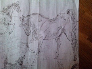 Caballo