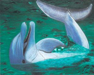 Delfin Oil Canvas