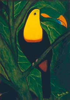 Tucan Oil Canvas