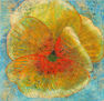 pansy01