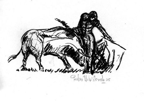 Tauromaquia