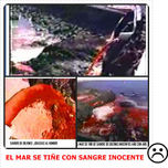 Delfines thumbnail 1