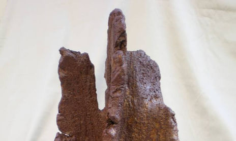 caprichos de la naturaleza