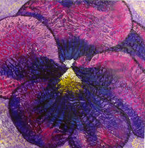 Pansy07