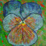 Pansy08