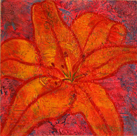 Lilium04