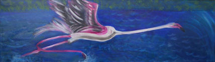 Flamenco iniciando...