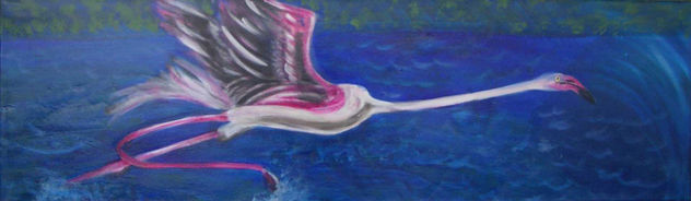 Flamenco iniciando el vuelo