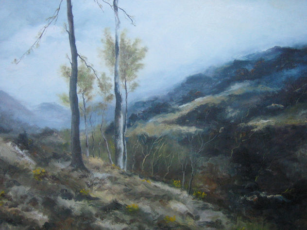 Alrededores de Sant Felíu de Guixols (Gerona)