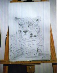 Leopardo