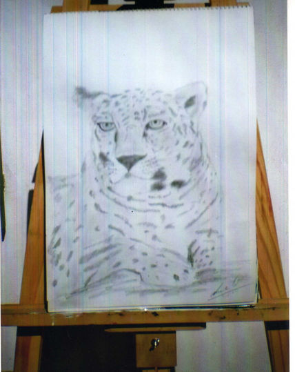 Leopardo