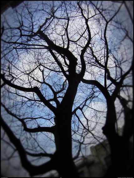 Alzheimer de otoño