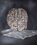 cerebro de humanos