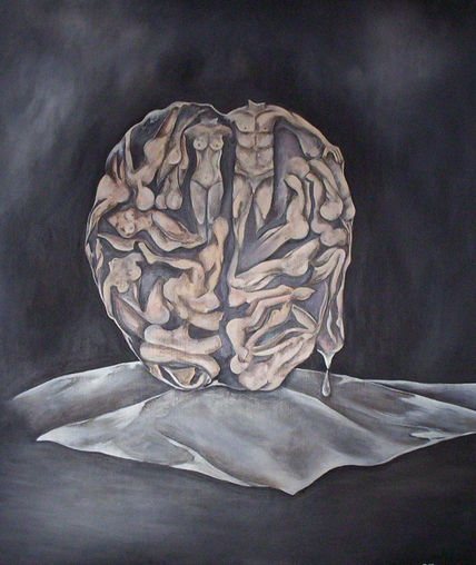 Cerebro de humanos