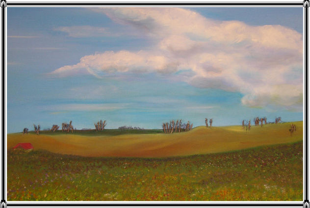 DESIERTO FLORIDO    12