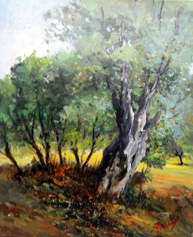 Olivera
