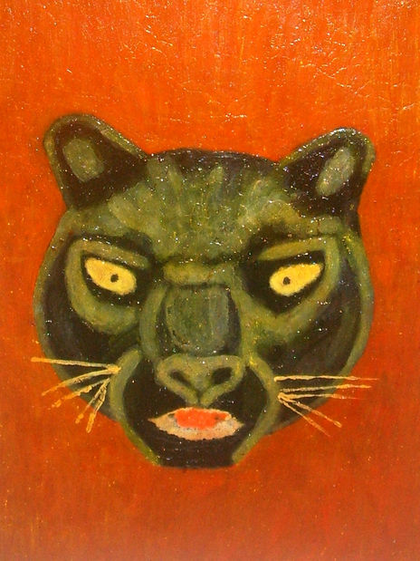 Gato negro