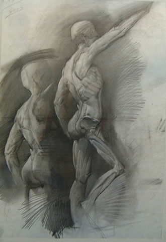 leccion de anatomia