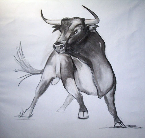 toro de salida 