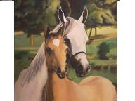 Caballos