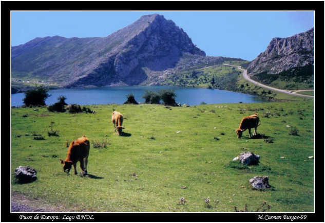 Lago Enol Nature Color (Manual)