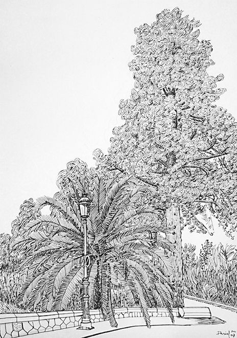 Ciprés con palmera