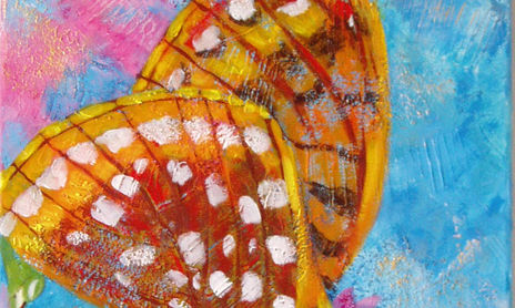 mariposas