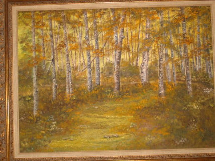Bosque frondoso en...