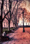 winter comes