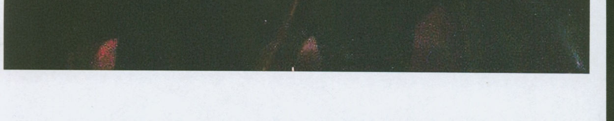Imagen de portada