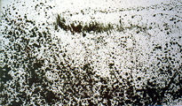 Paisaje utópico,1982